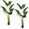 60" Bird of Paradise Artificial Plant for Living Room Décor (2 Pack)